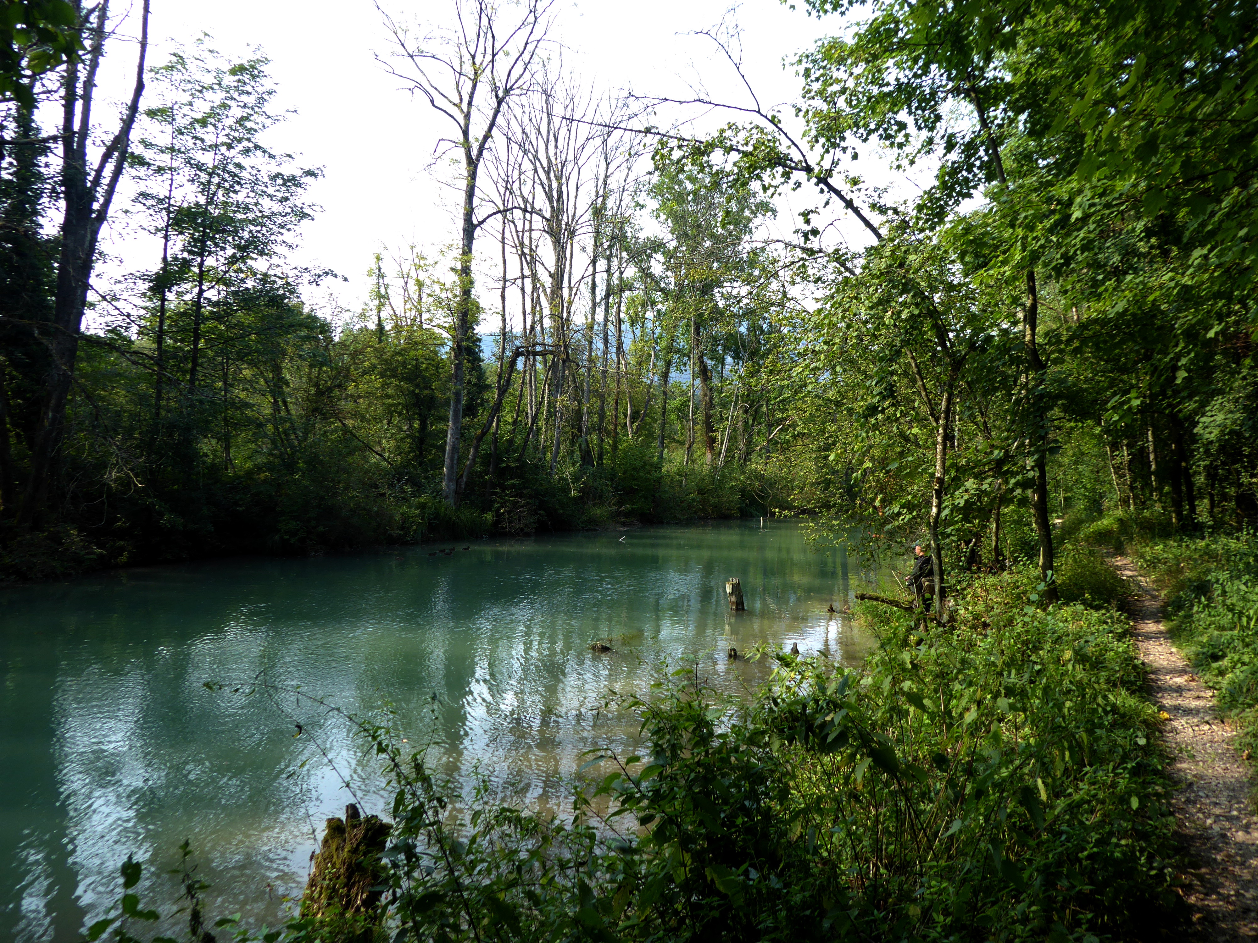 vogelexkursion solothurn vogelexkursion solothurn