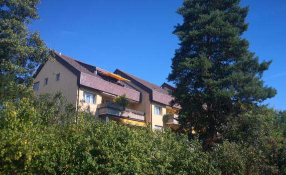 wohnung solothurn kaufen
