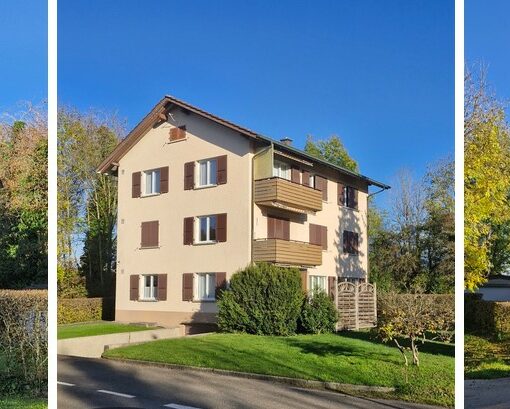 mehrfamilienhaus kaufen mittelland